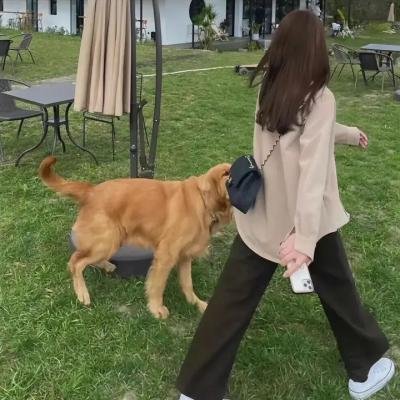 破茧而出海报